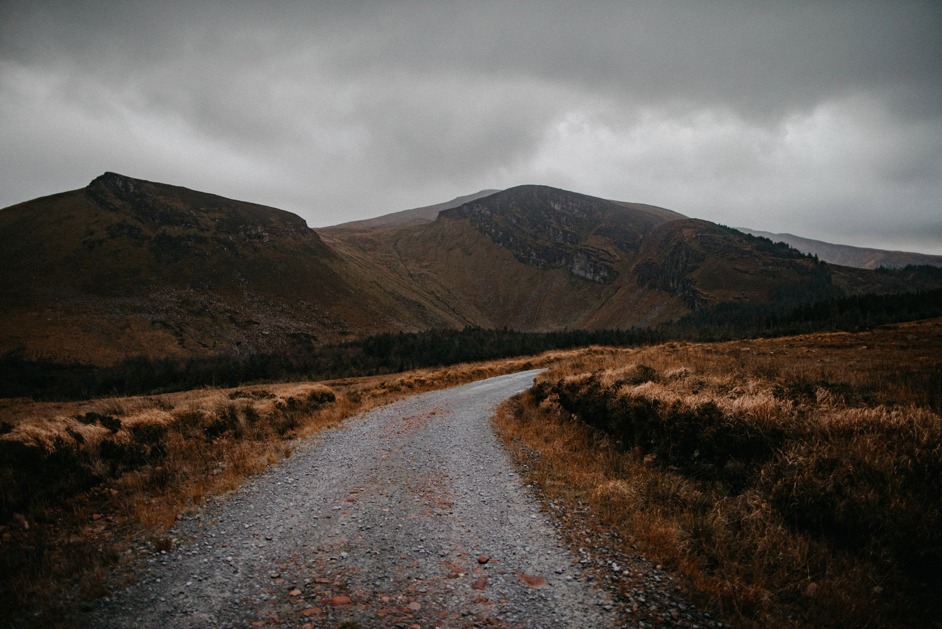 Dingle Peninsula couple session