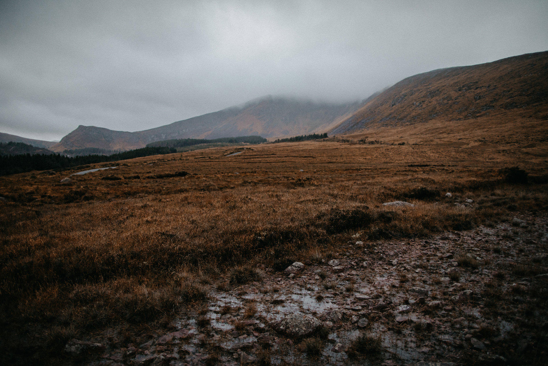 Dingle Peninsula couple session