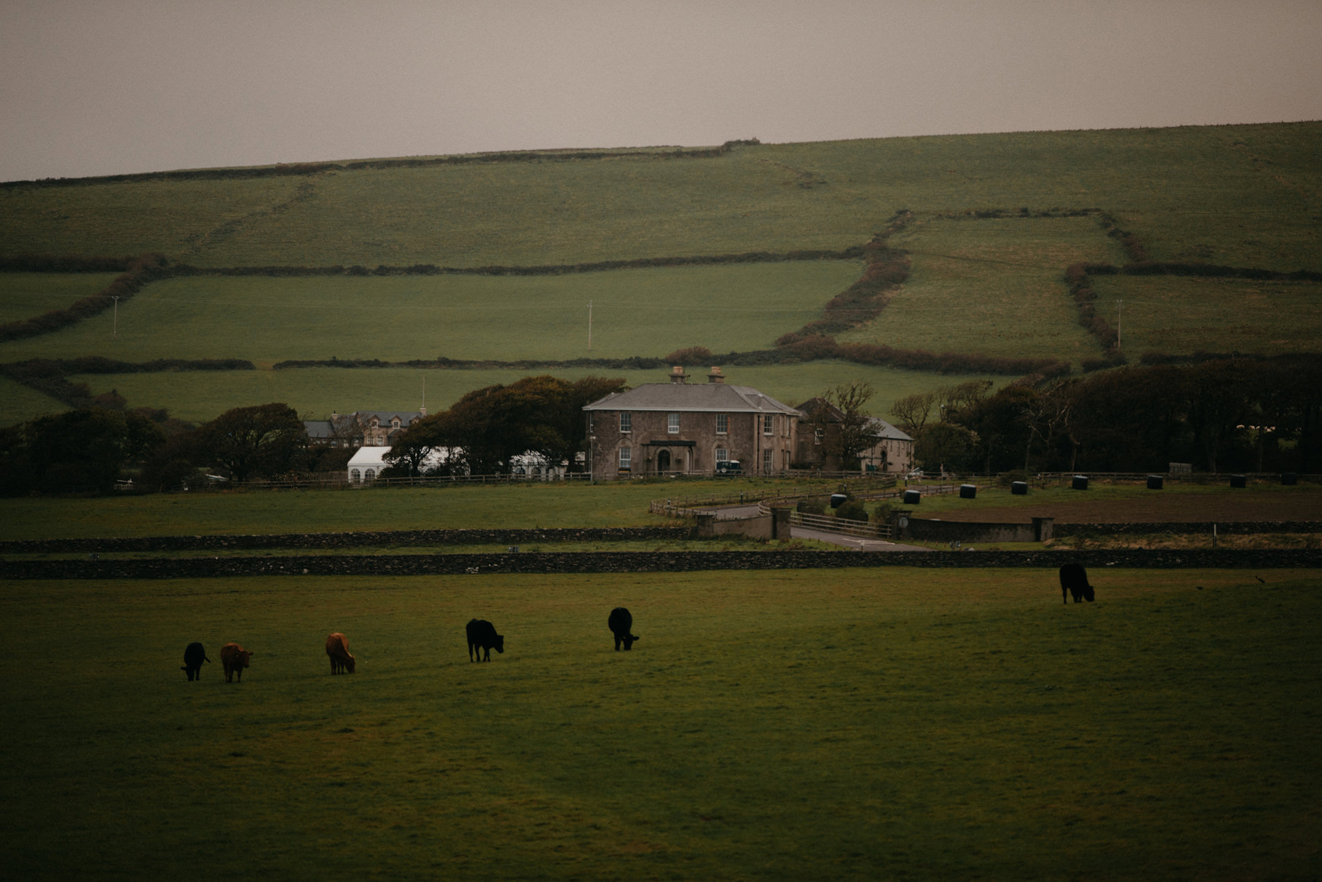 wedding dingle ireland