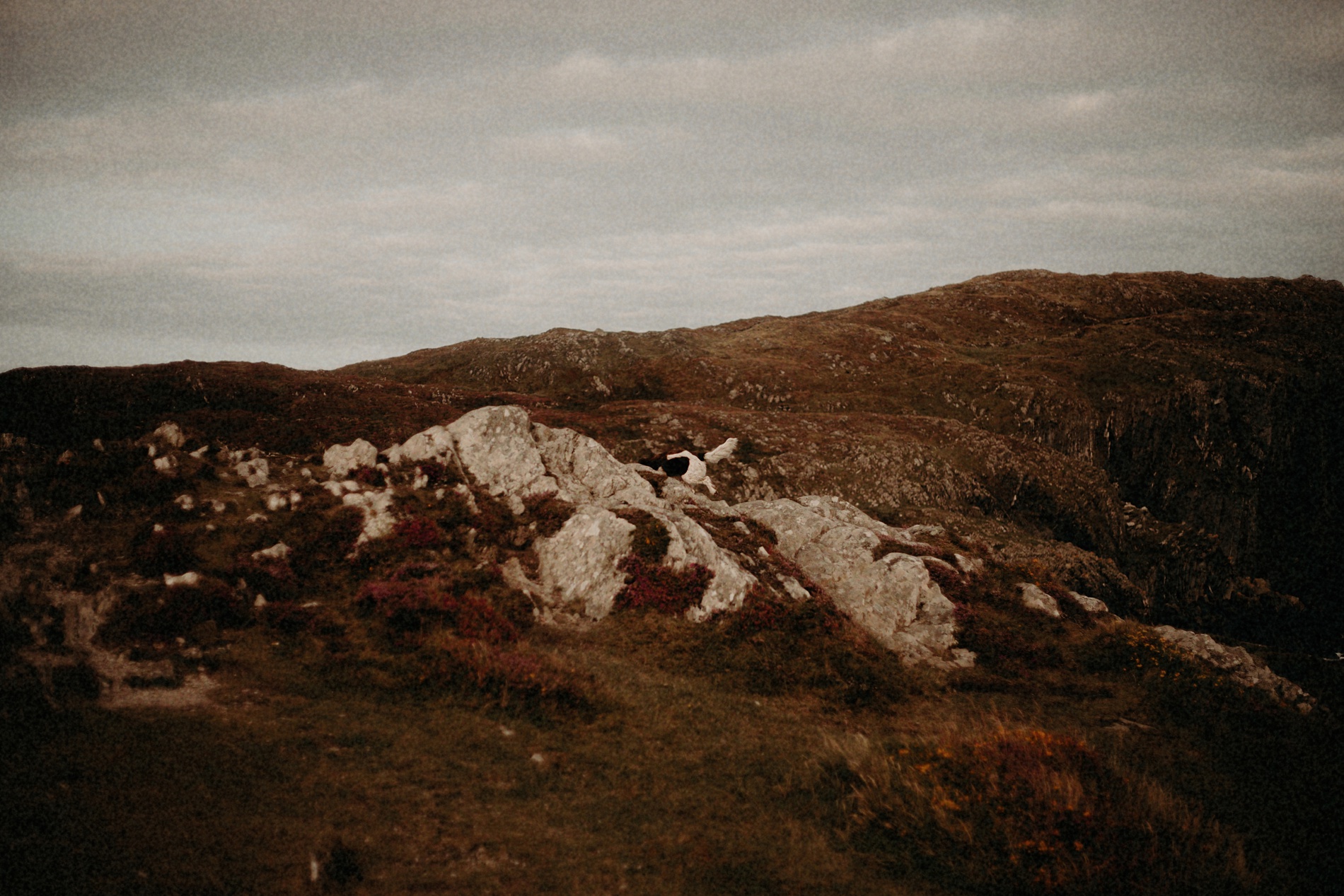 Wild Atlantic Way
