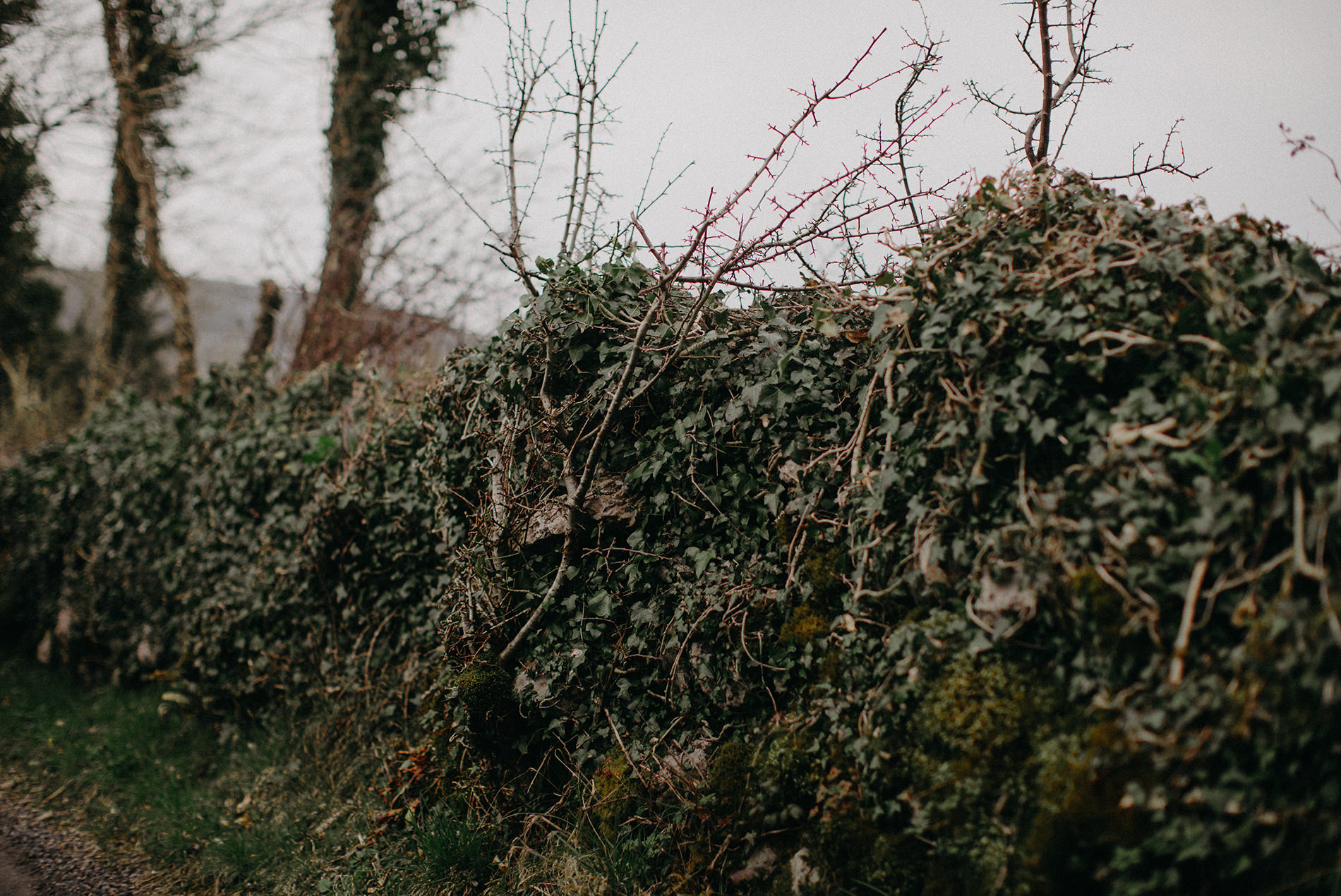 Cliffs of Moher Elopement