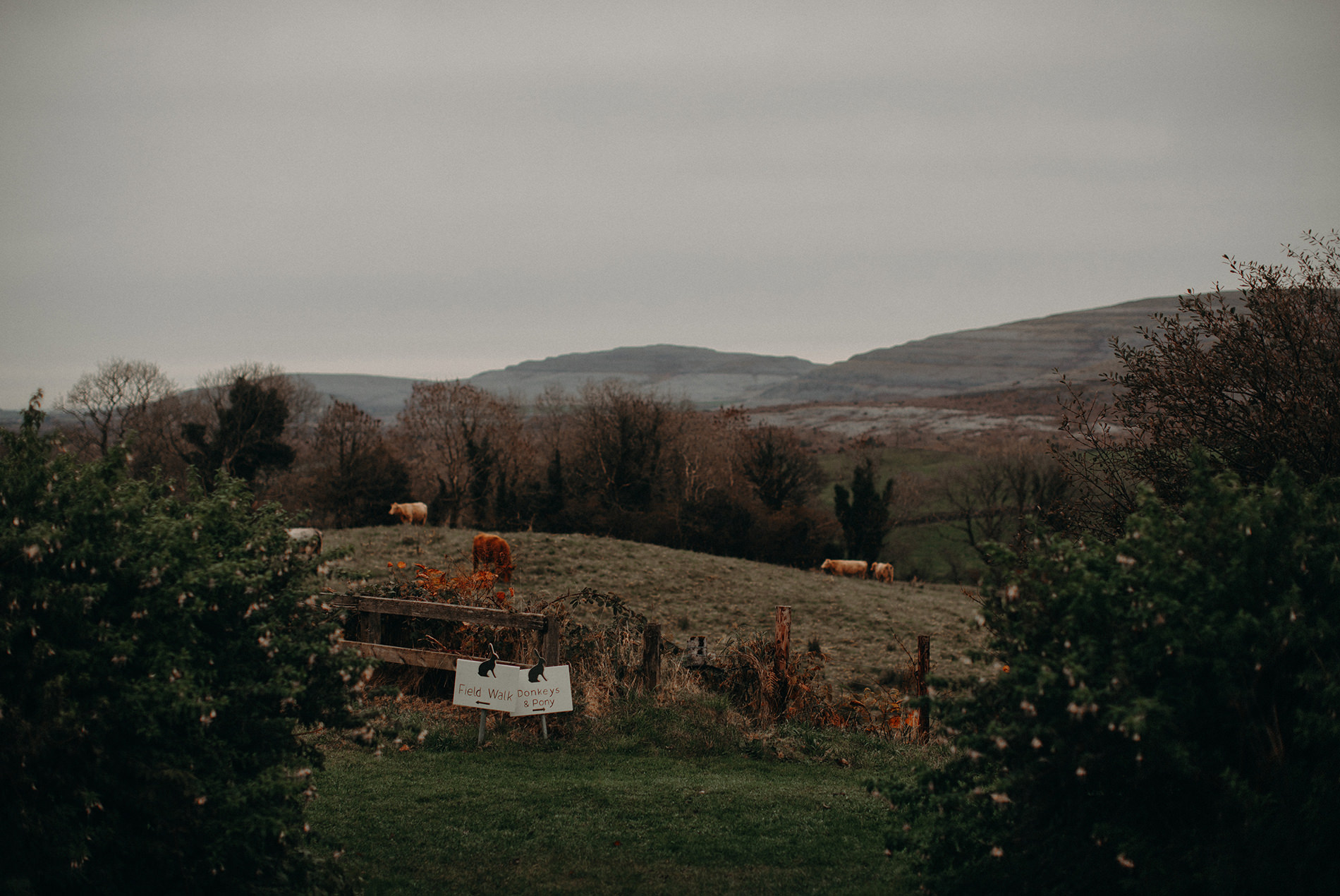 newtown castle wedding