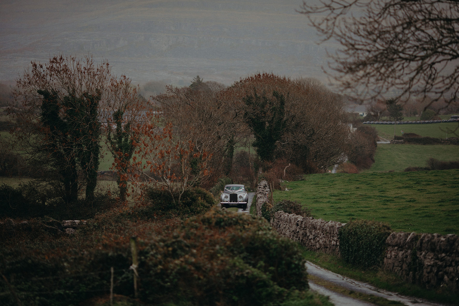 newtown castle wedding