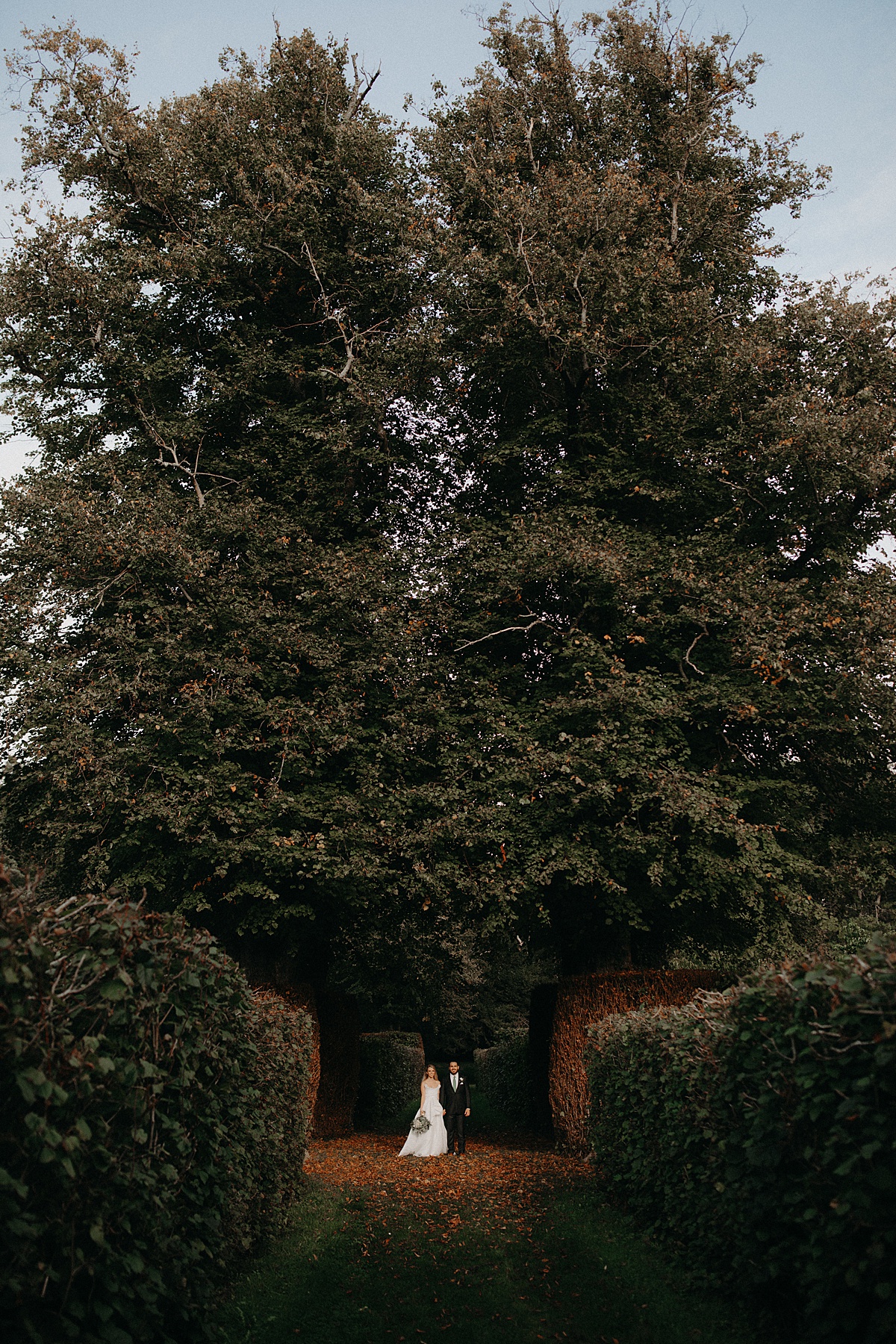 Killruddery House Wedding